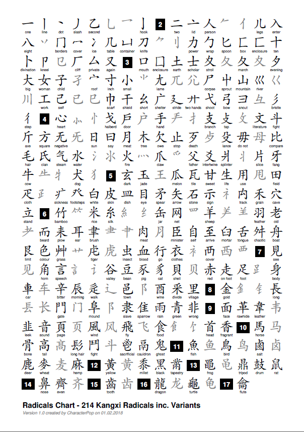 Essential Radicals, view 3