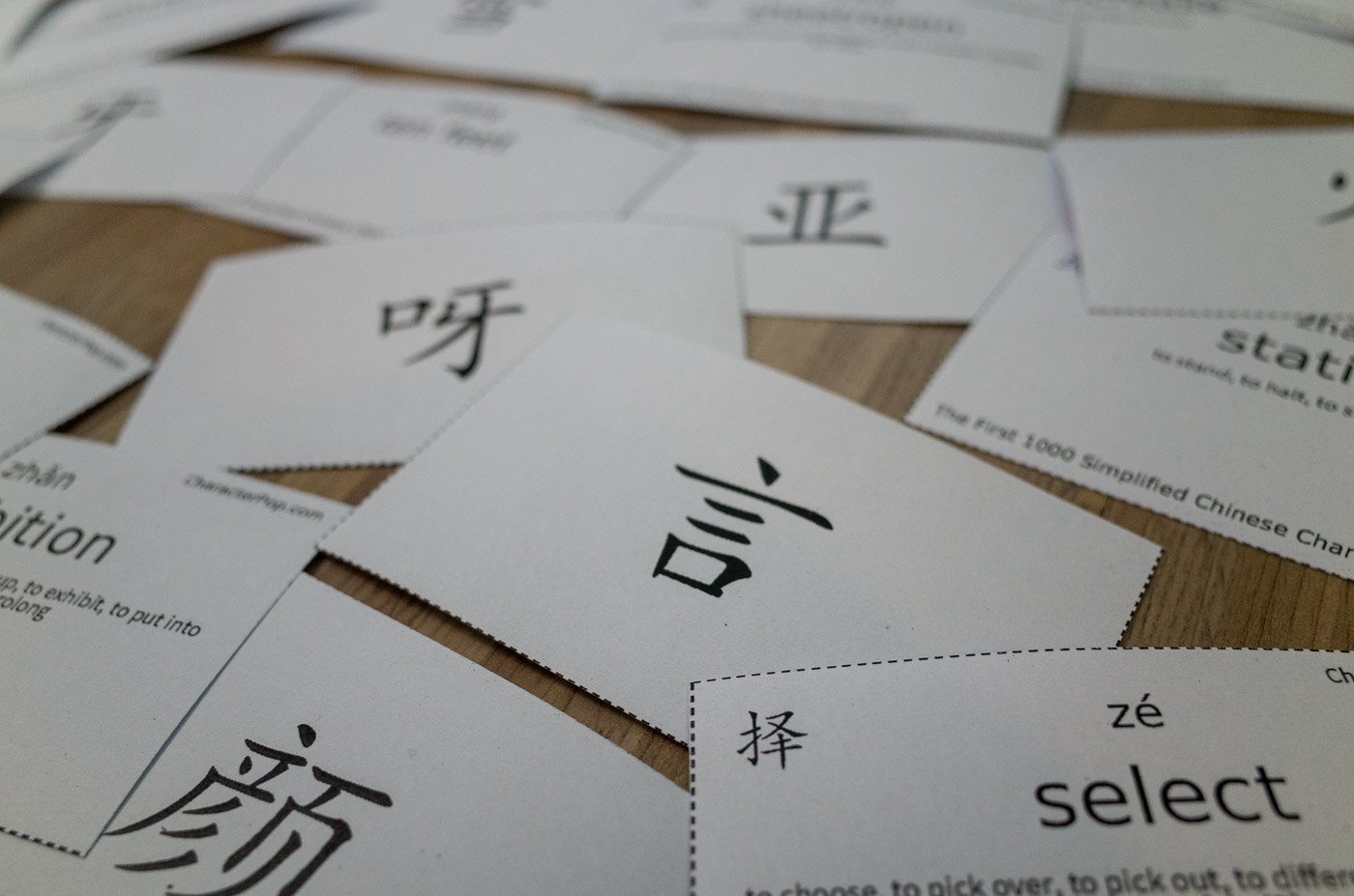 The First 1000 Flashcards, view 4